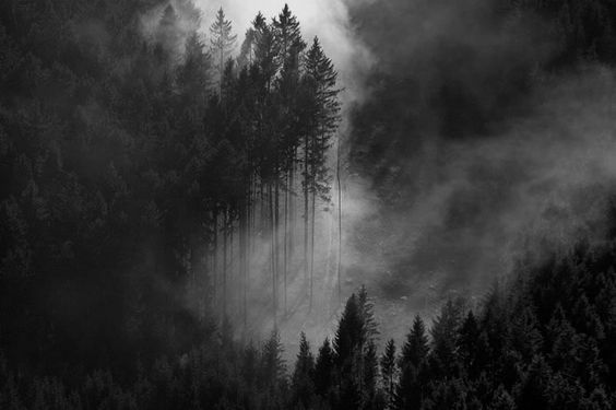 c95fb224a1183e1a5d85790c78cb996c