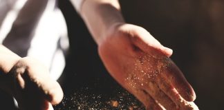 The Pixies Are Dying