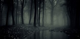 Wisps of A Sinking Empire: Part IV