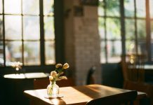 An Orange Sunset of An Orphan Foster Child