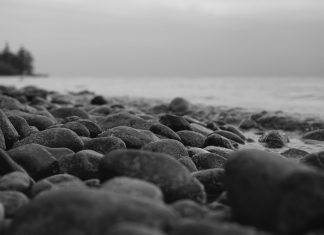 The Fisherman and the Jinni: Part IV