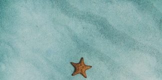 A Retelling of The Little Mermaid: Part III