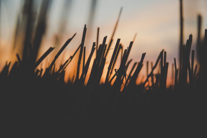 photo-1501276098931-5d481df52e60