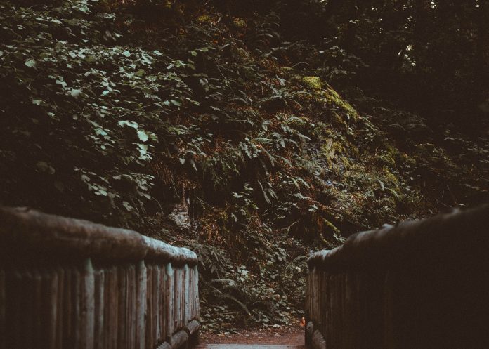 anthony-intraversato-406464