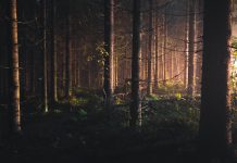 A Retelling of Tarzan and Jane Part III