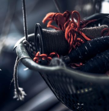 The Unfortunate Writer: Part II